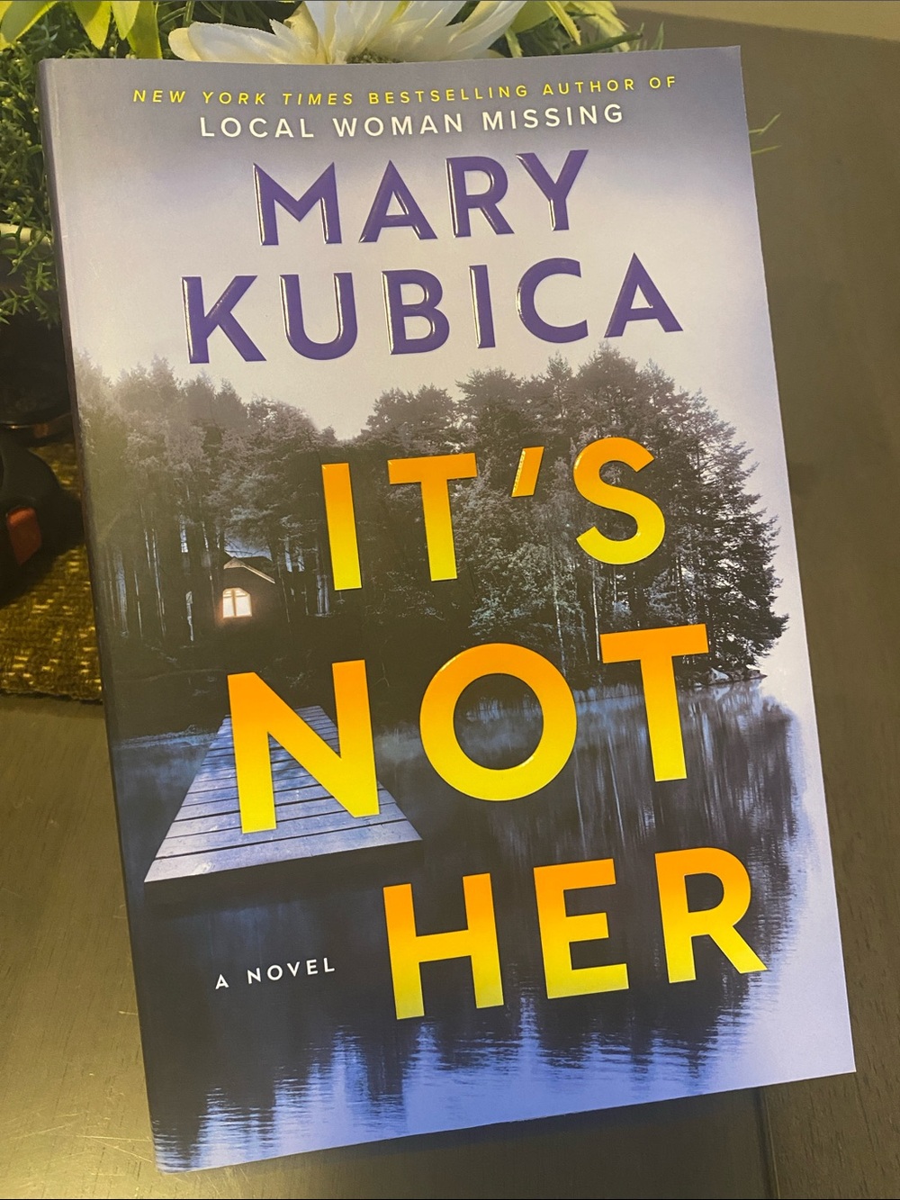 NEW🌈 Mary Kubica Book It’s Not Her Novel fiction thriller